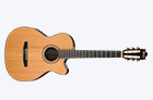 Gitar